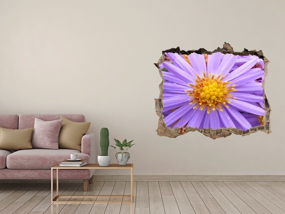 Hole wall sticker Asters