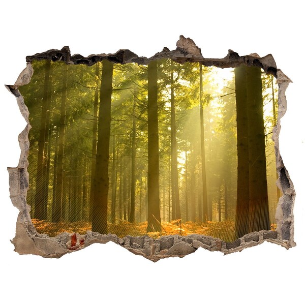 Hole wall sticker Forest Oasis of Light