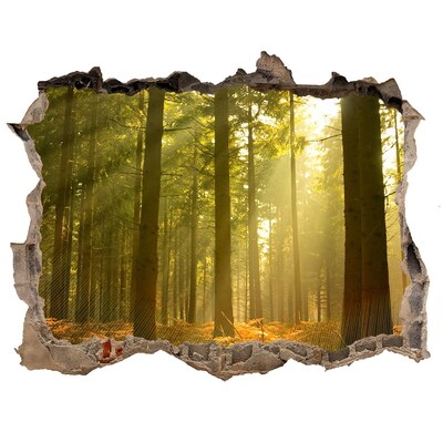 Hole wall sticker Forest Oasis of Light