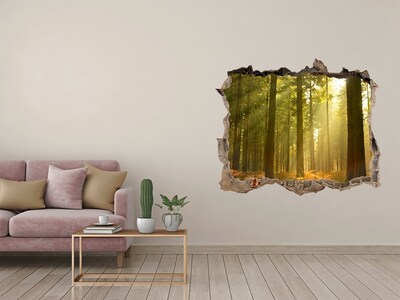 Hole wall sticker Forest in the sun