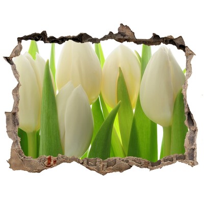 Hole wall sticker Tulips in the daylight