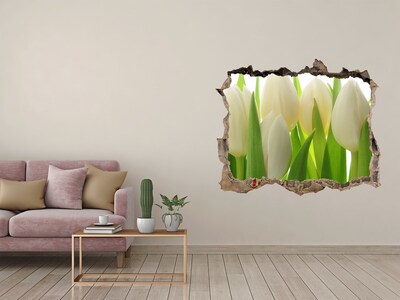 Hole wall sticker Tulips in the daylight