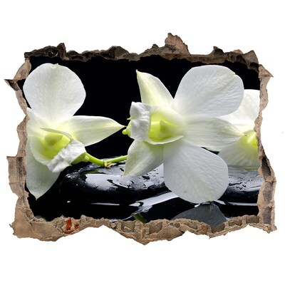 3D wall hole wallpaper Orchid