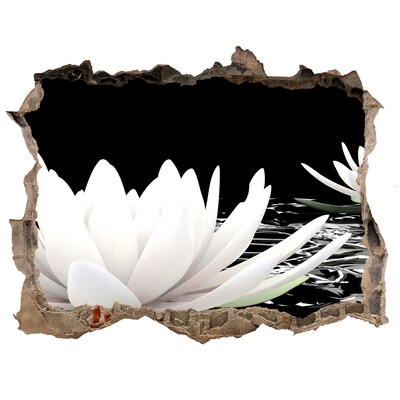 Hole in the wall decal Water flowers in a mysterious pond