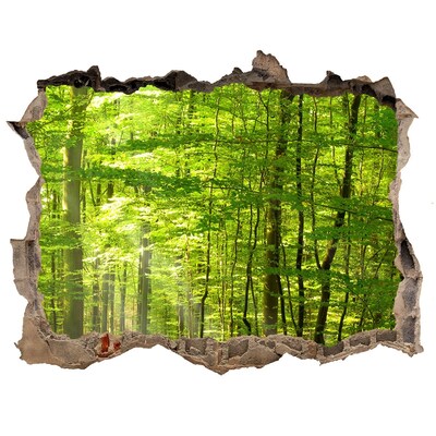 Hole in the wall sticker Green forest in the sunlight