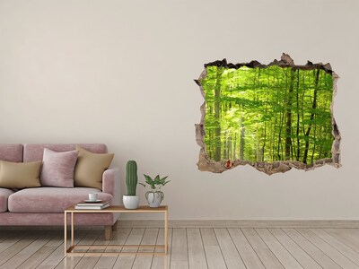Hole in the wall sticker Green forest in the sunlight