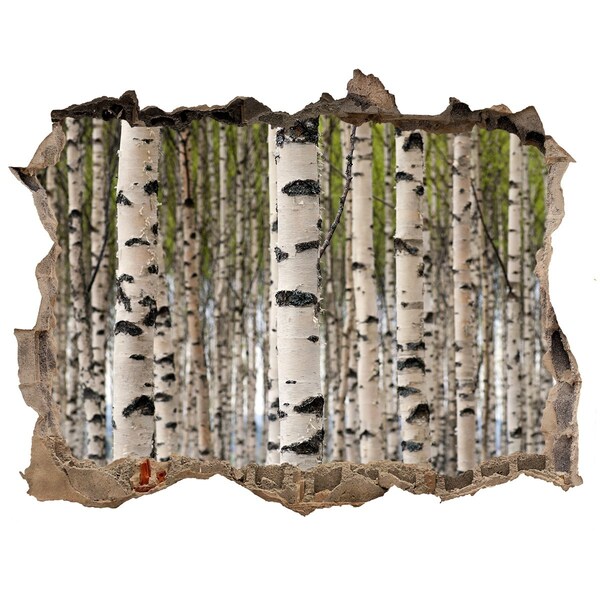 Hole in the wall decal Birch forest behind the wall