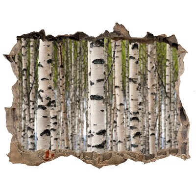 Hole in the wall decal Birch forest behind the wall