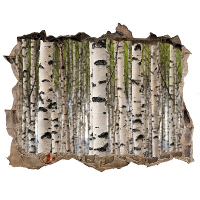 Hole in the wall decal Birch forest