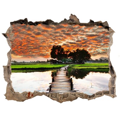 Hole in the wall decal Sunset over the pond