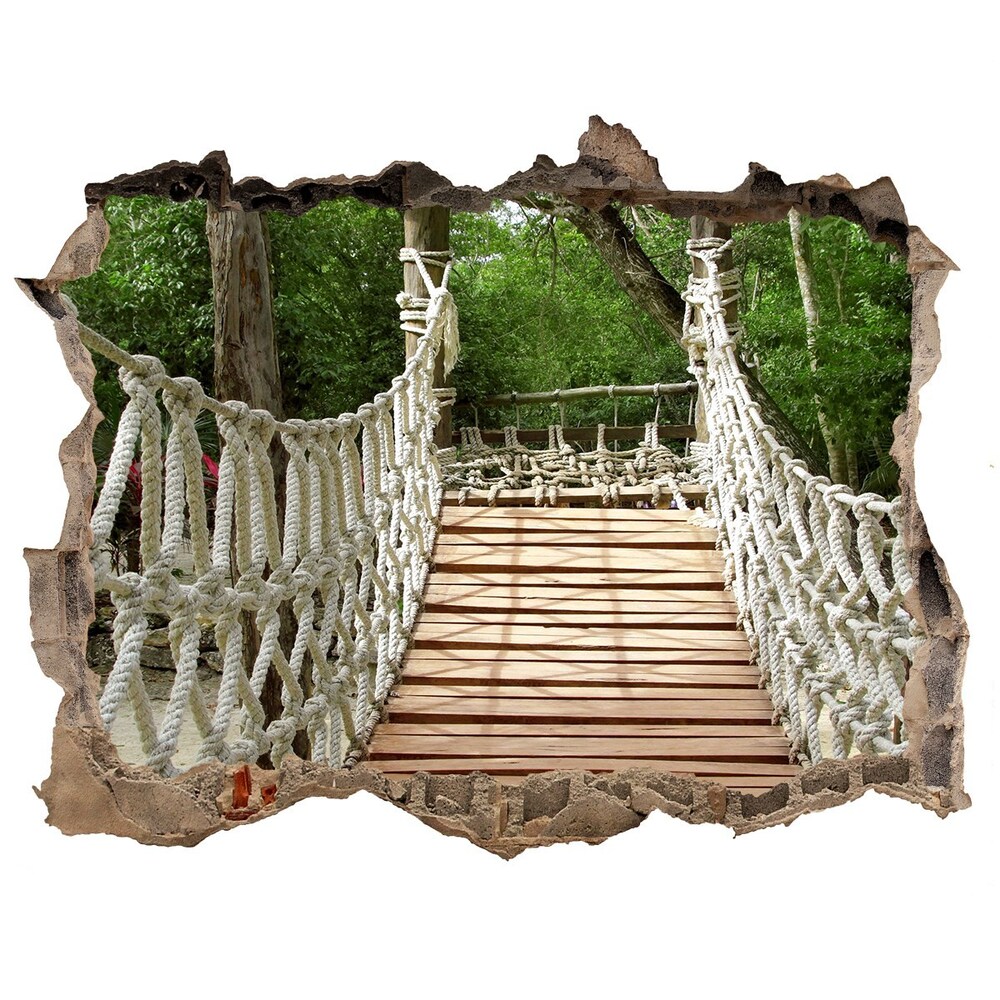 Hole in the wall decal Rope bridge