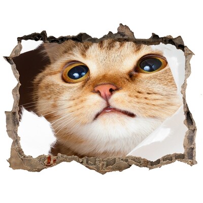 3D wall hole wallpaper Cat through a hole in the wall