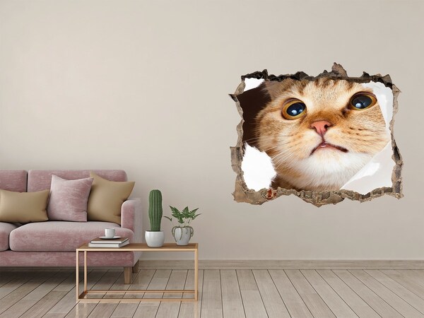 3D wall hole wallpaper Cat through a hole in the wall
