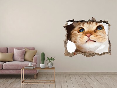 3D wall hole wallpaper Cat through a hole in the wall