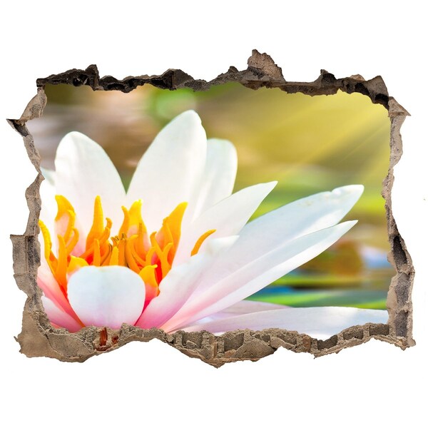 Hole in the wall sticker water lily