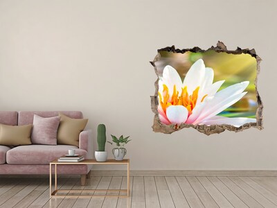 Hole in the wall sticker water lily