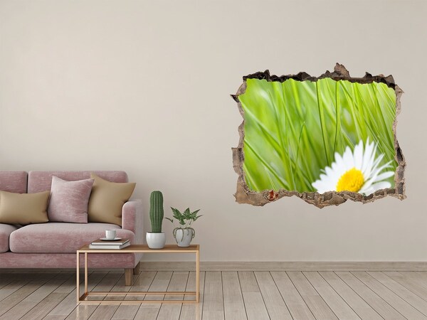 Hole in the wall sticker Daisy