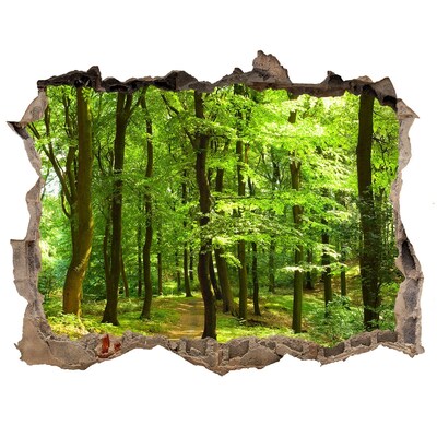 Hole wall sticker Green forest in the sun's rays