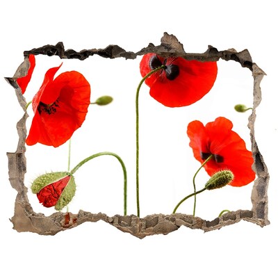 3D wall hole Poppy flowers in a hole in the wall