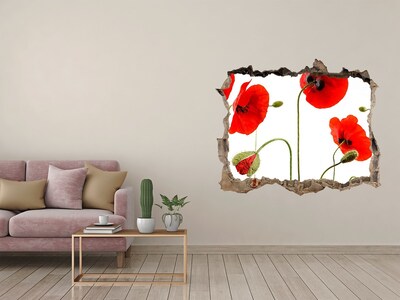 3D wall hole Poppy flowers in a hole in the wall