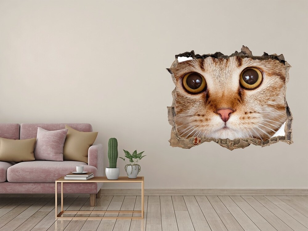 3D wall hole Cat