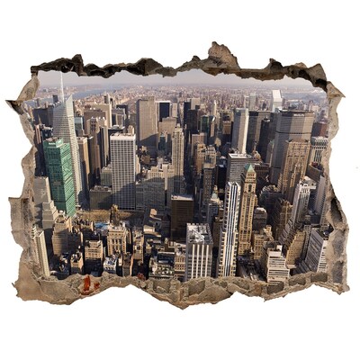 Hole wall sticker View of New York