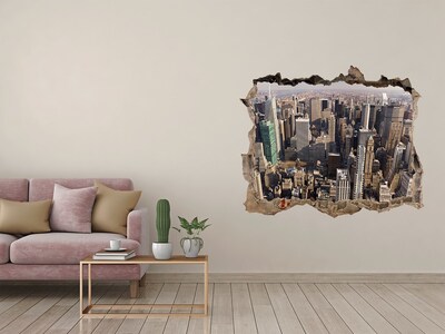 Hole wall sticker View of New York