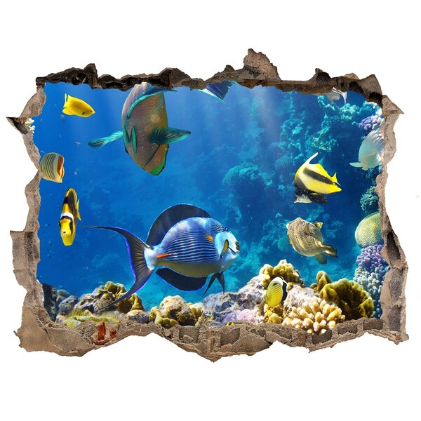 Hole wall sticker The underwater world of the coral reef