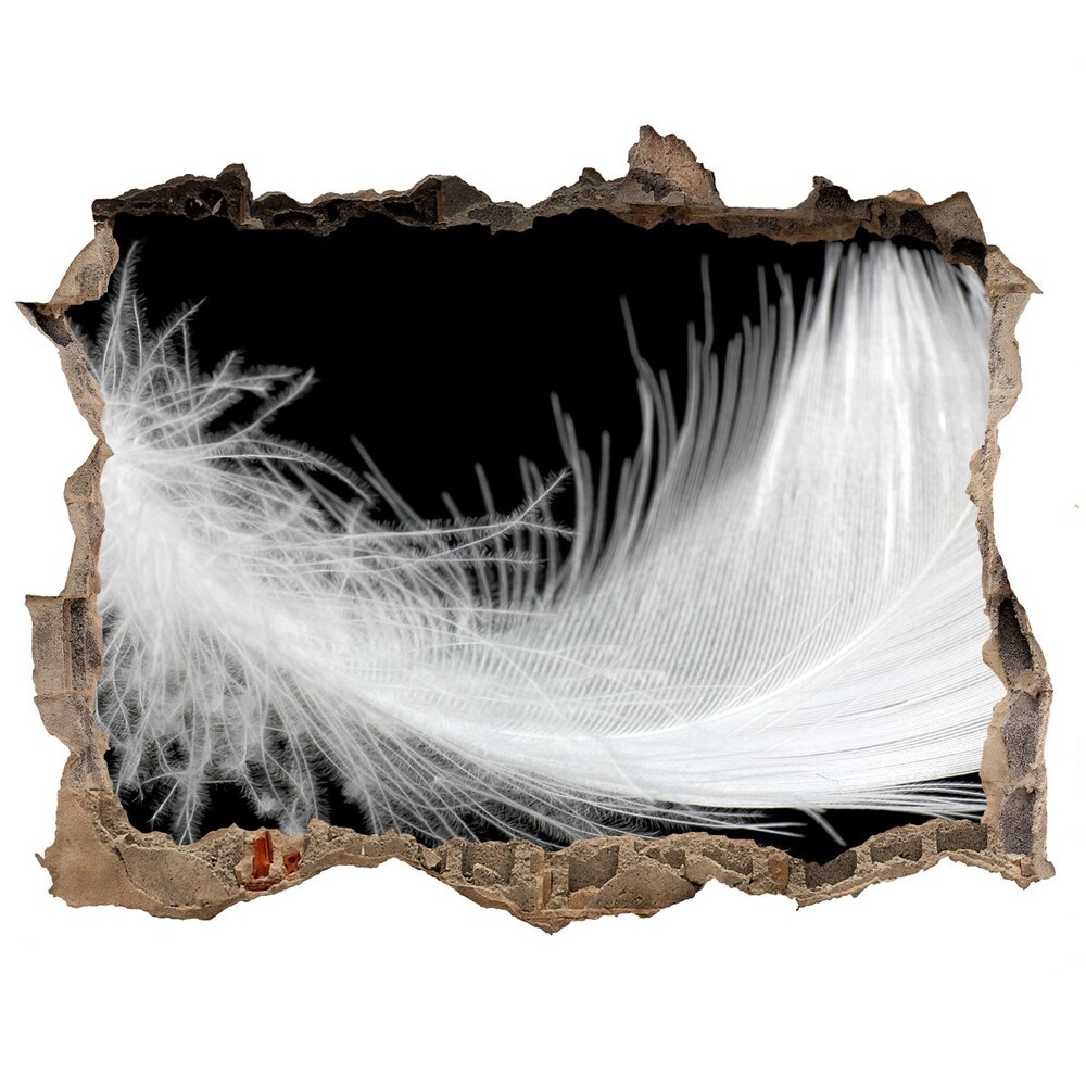 3D wall hole Feather