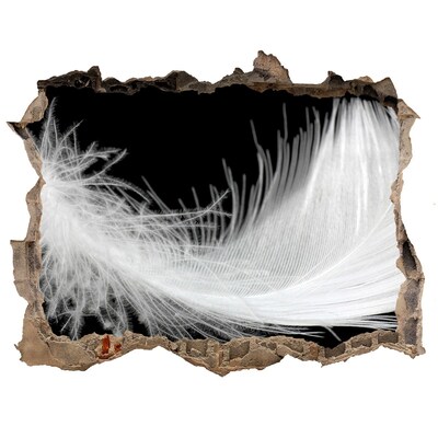 3D wall hole Feather