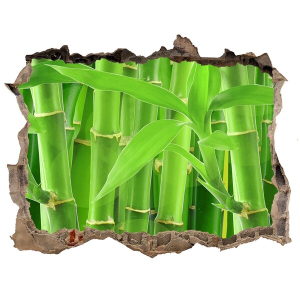 Hole wall sticker Green bamboo forest