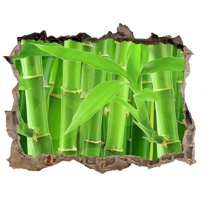 Hole wall sticker Green bamboo forest