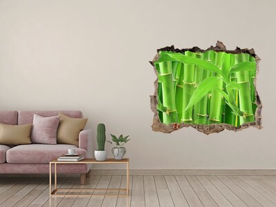 Hole wall sticker Green bamboo forest