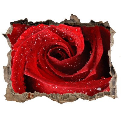 Hole wall sticker Rose drops