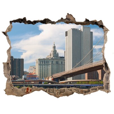 3D wall hole View of New York