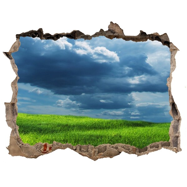 3D wall hole Green meadow under the clouds
