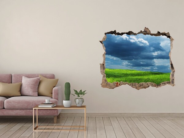 3D wall hole Green meadow under the clouds