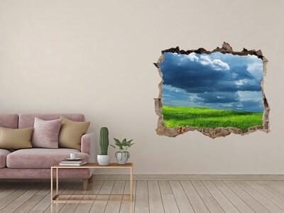 3D wall hole Green meadow under the clouds