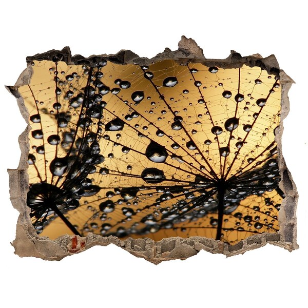 3D wall hole wallpaper Drops on the leaves