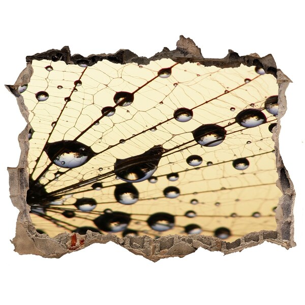 Hole wall sticker Water drops on a butterfly wing