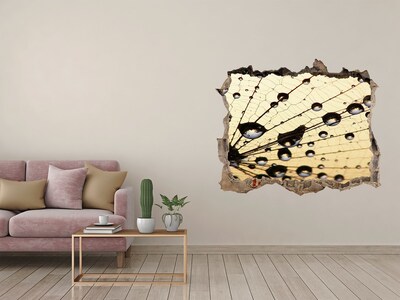 Hole wall sticker Water drops on a butterfly wing