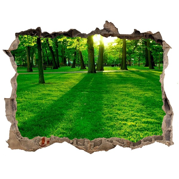 Hole wall sticker Green park in the sunshine