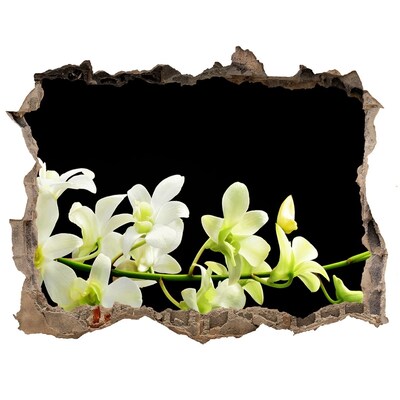 3D wall hole wallpaper Orchid