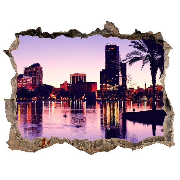 Hole in the wall sticker Orlando USA