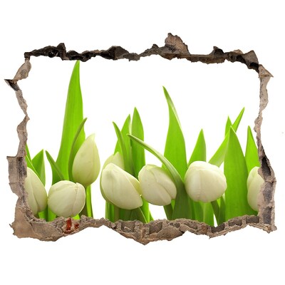 Hole in the wall decal White tulips