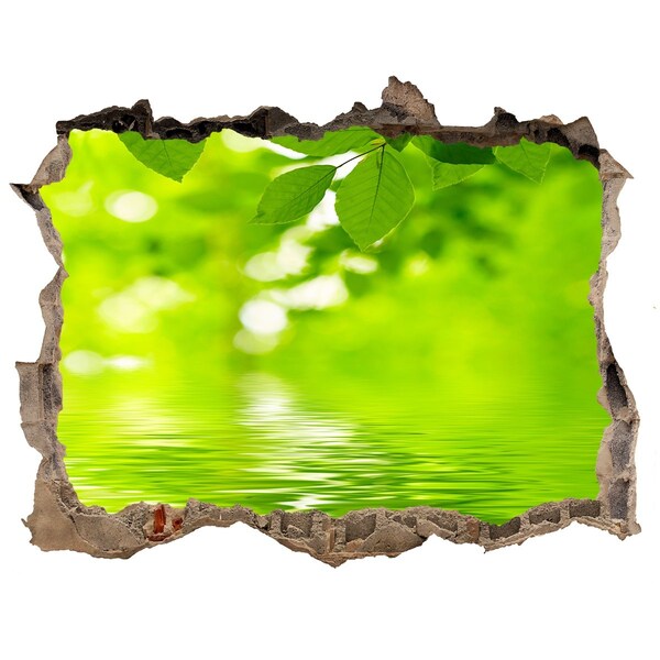 3D wall hole wallpaper Green oasis with water