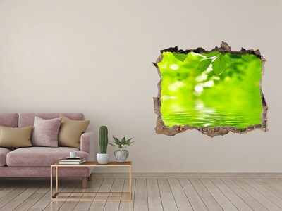 3D wall hole wallpaper Green leaves