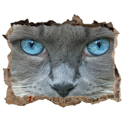 Hole wall sticker Cat blue eyes