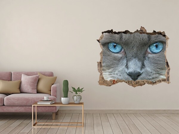 Hole wall sticker Cat blue eyes