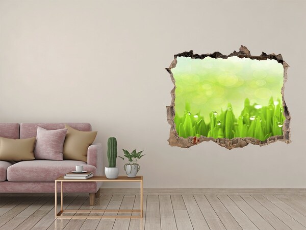 Hole wall sticker Green meadow with drops of water
